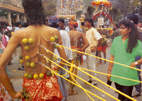 Thaipusam Festival
