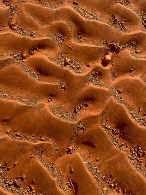 orange outback dirt