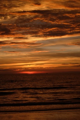 DSCF0237