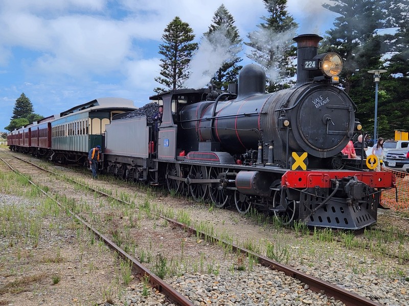 The steam Cockle Train