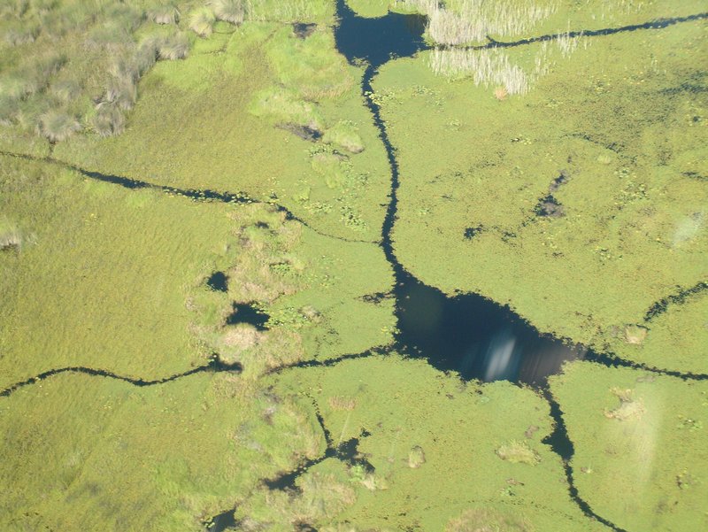 Okovango from the air