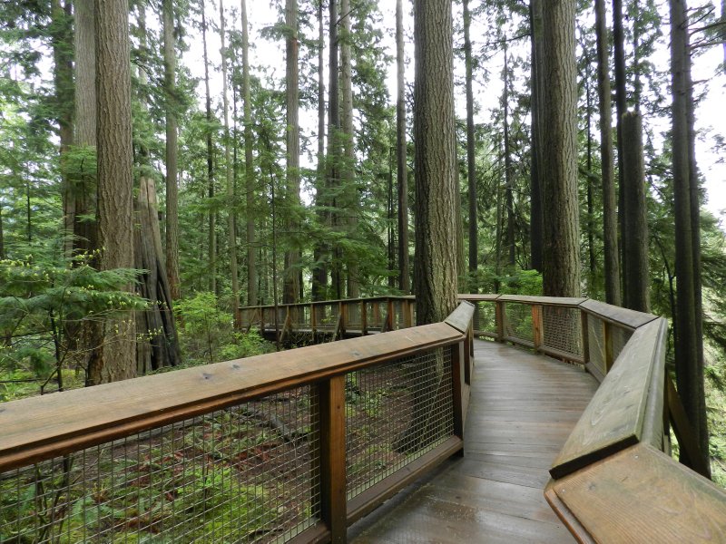 Capilano Suspension Bridge - Photo 1