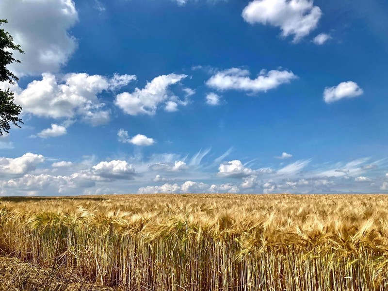 Zuid-Limburg