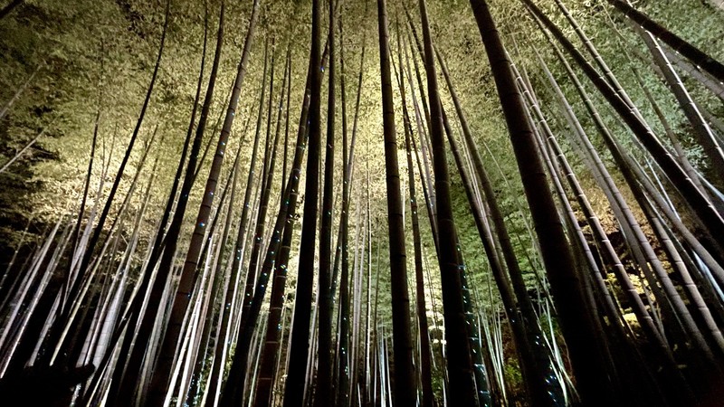 Featured photo 6