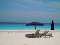 Pink Sands Beach chaise lounge
